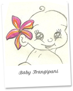 Baby Frangipani